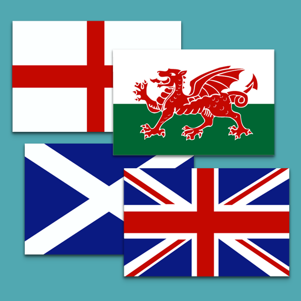 Flag Self Adhesive Vinyl Stickers - Lima Mike Two Four - StickeredUp4LeMans